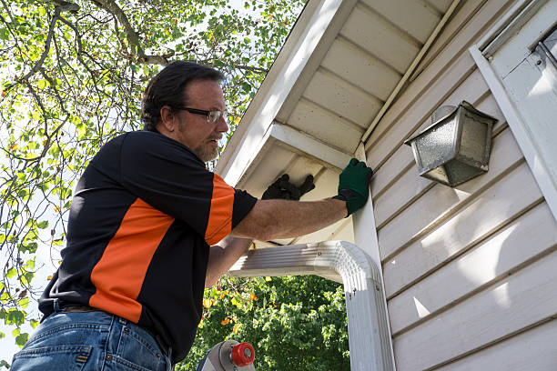 Best Vinyl Siding Installation  in June Park, FL